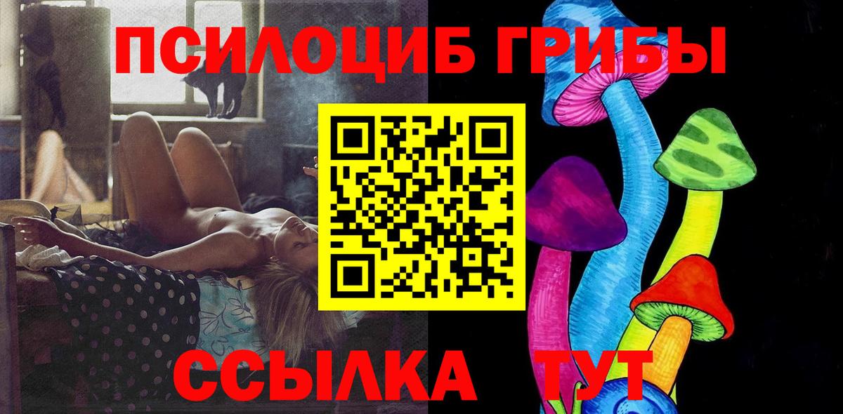 Псилоцибиновые грибы Psilocybine cubensis Ачхой-Мартан