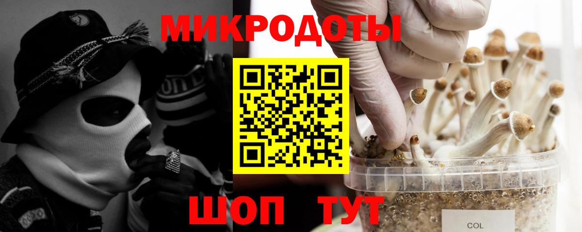 Псилоцибиновые грибы GOLDEN TEACHER  Вход с VPN  продажа наркотиков  Ачхой-Мартан 