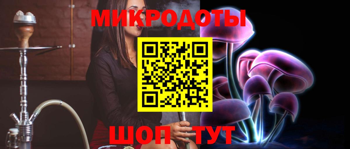 Галлюциногенные грибы Psilocybine cubensis  Ачхой-Мартан 